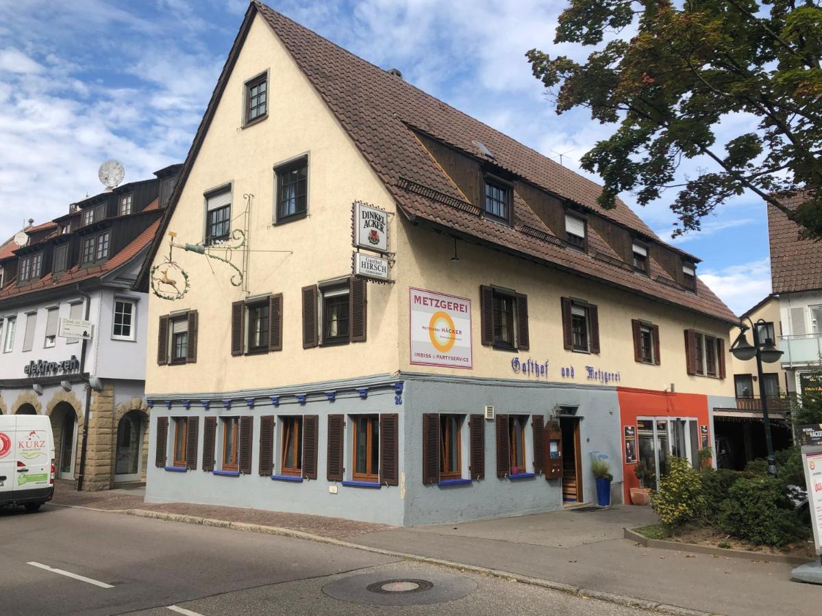 Gasthof Zum Hirsch Заксенхайм Экстерьер фото